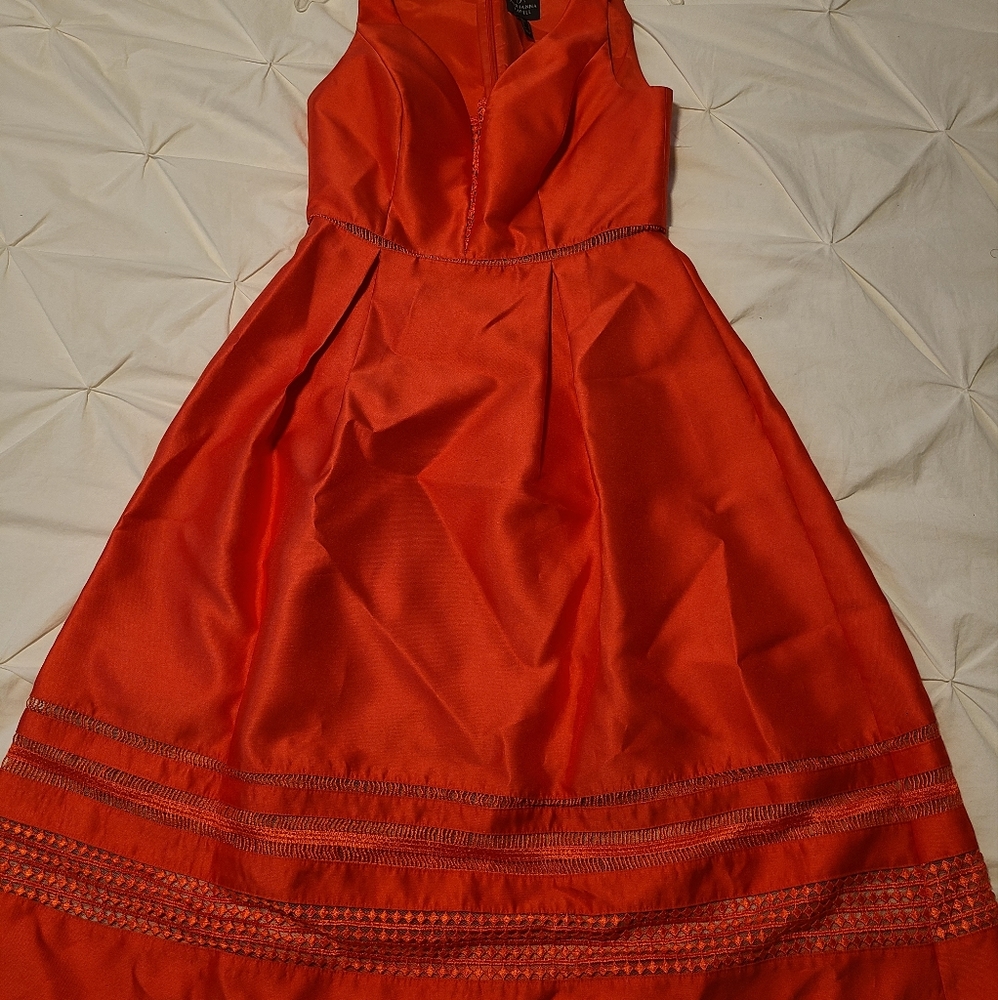 Adrianna papell knee length dress